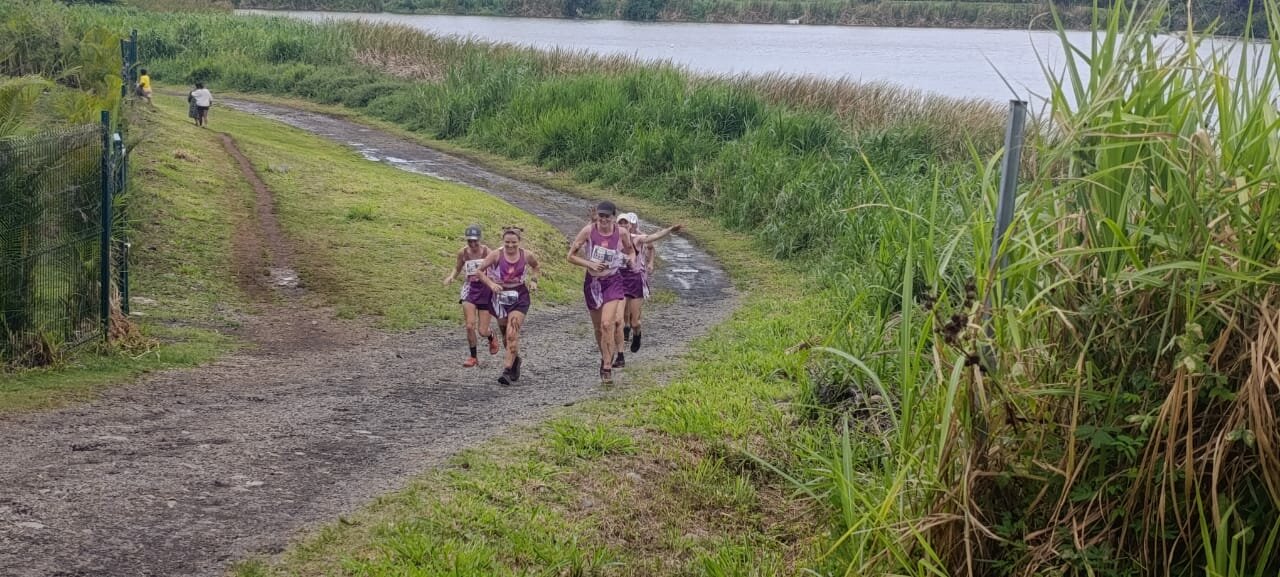 20251122 Tropicadingue 03